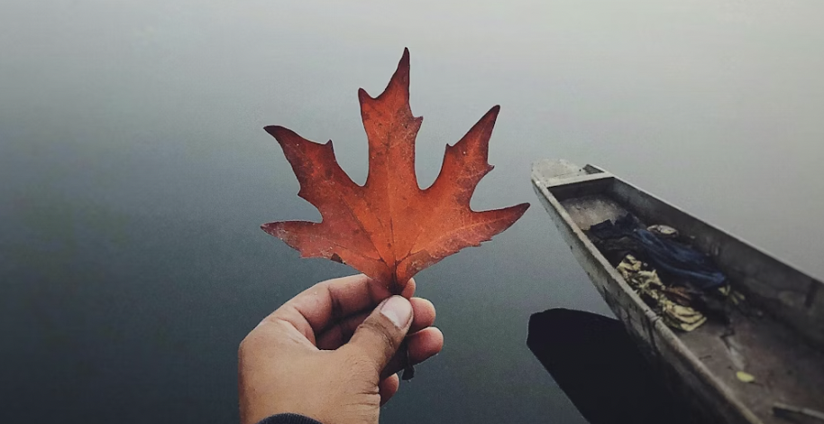 Làm sao để bình thản sống