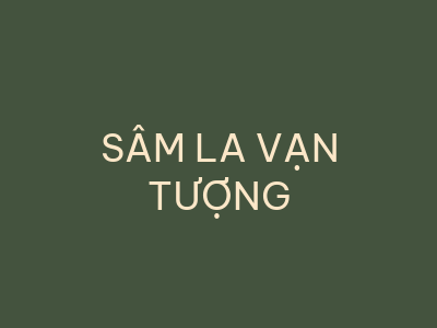 Sâm La Vạn Tượng - Tu Viện Huệ Quang