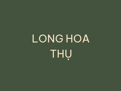 Long Hoa Thụ - Tu Viện Huệ Quang